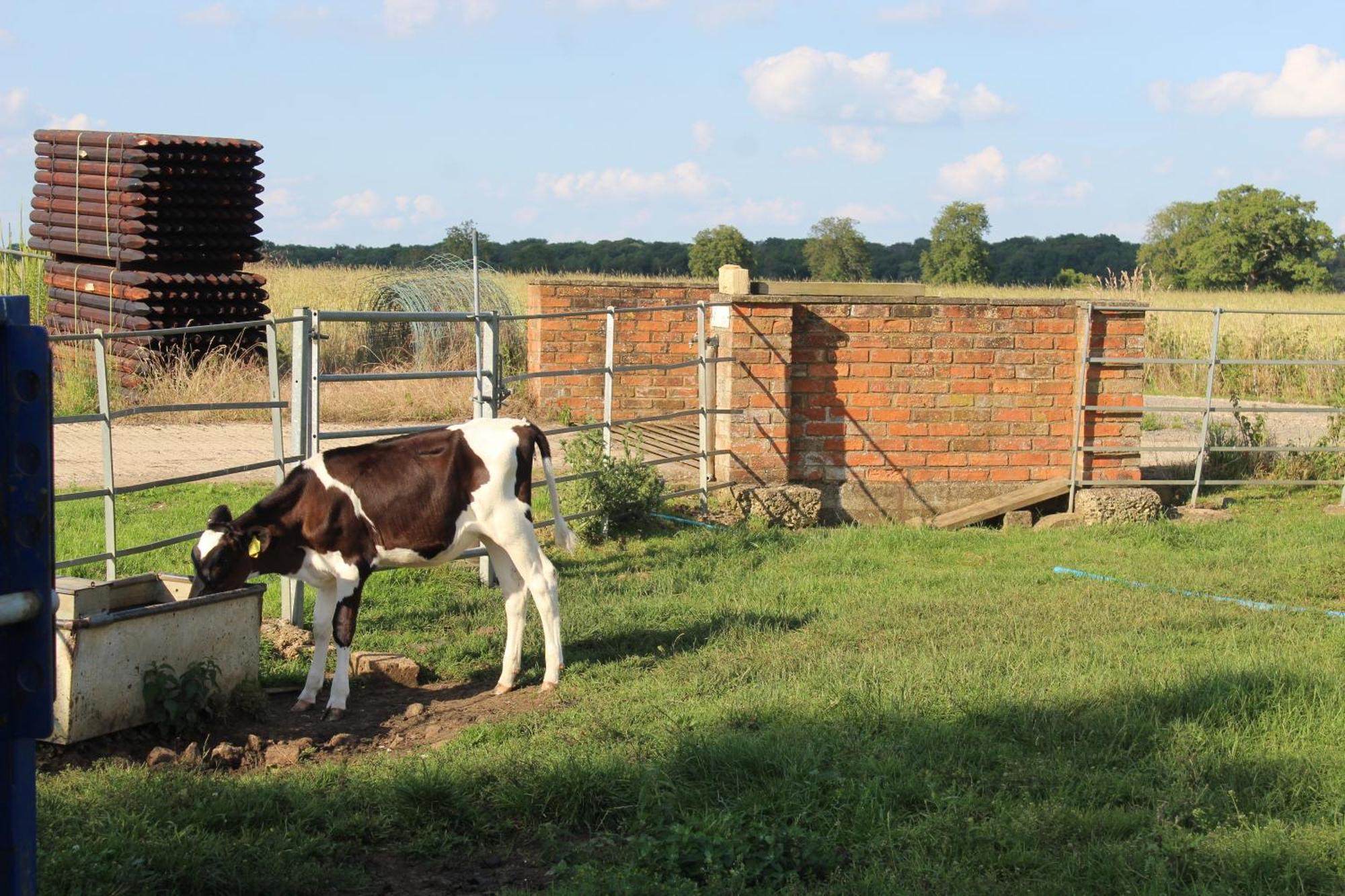 Parkfields Barns Self Catering Accommodation Buckingham Exterior foto