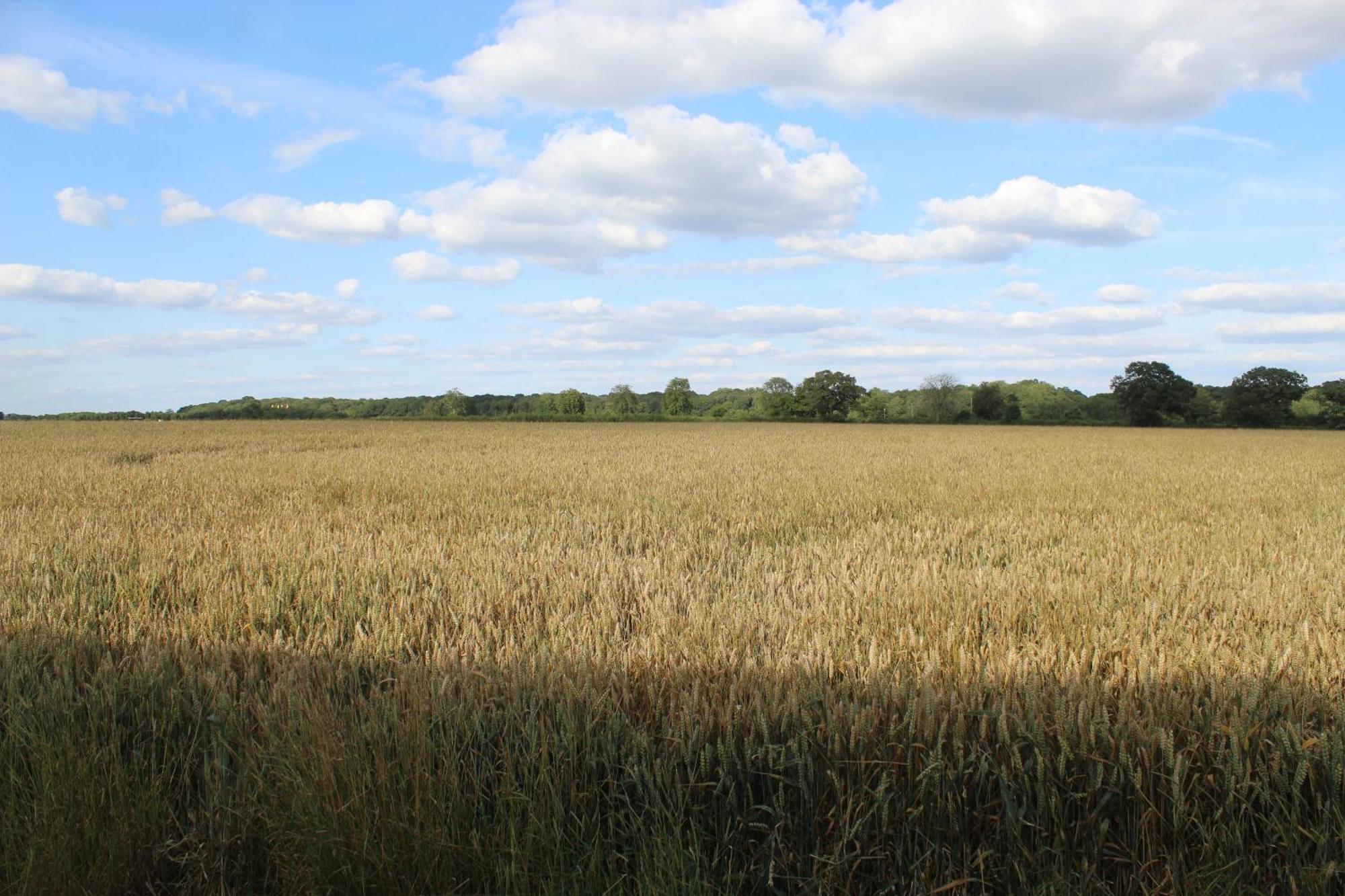 Parkfields Barns Self Catering Accommodation Buckingham Exterior foto